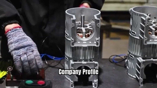 Company Profile